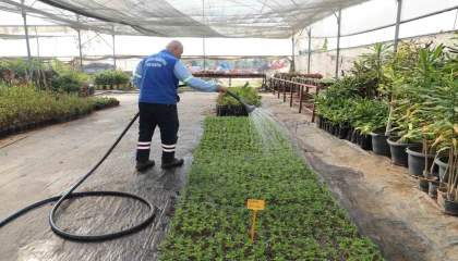 Akdenizin caddeleri rengarenk çiçeklerle buluşmaya hazırlanıyor