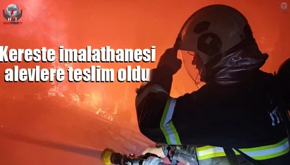 Antakyada kereste imalathanesi alevlere teslim oldu