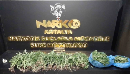 Antalyada son 1 haftada narkotik suçlarda 11 şahıs tutuklandı