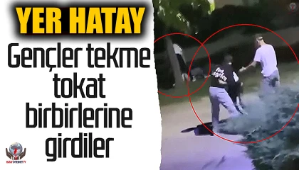 Arabayla gelip, tekme tokat birbirlerine girdiler