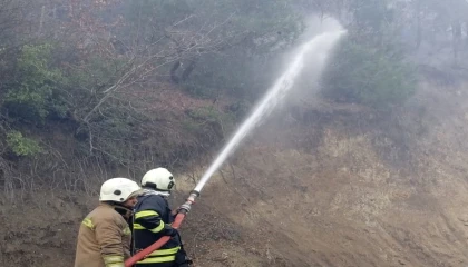 Arsuzda örtü yangını