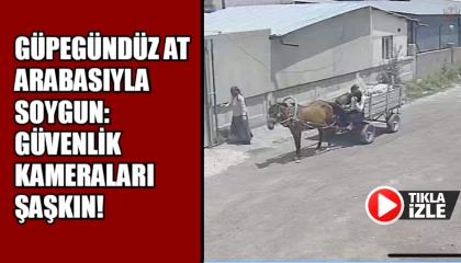 At arabasıyla geldi, demir korkuluğu alarak kayıplara karıştı