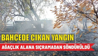 Bahçede çıkan yangını itfaiye söndürdü