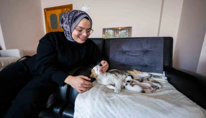 Camiye sığınan kedi ve yavruları yeni yuvasına kavuştu