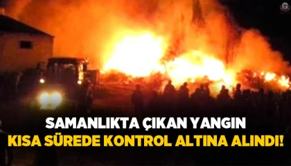 Defnede samanlık yangını