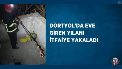 Dörtyolda eve giren yılanı itfaiye yakaladı
