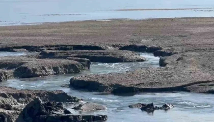 Eğirdir Gölünde yeni düdenler su tehlikesini büyütüyor