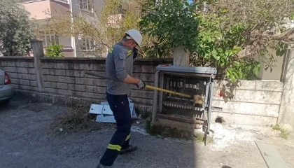 Elektrik baksına giren kedi akıma kapılarak telef oldu