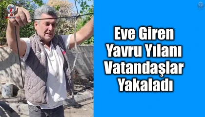 Eve giren yavru yılanı vatandaşlar yakaladı