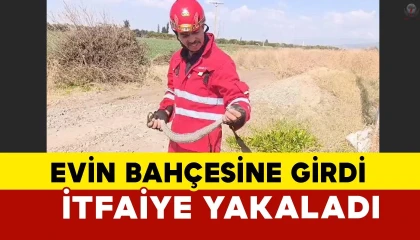 Evin bahçesine giren yılanı itfaiye yakaladı