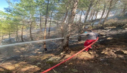 Gazipaşadaki orman yangını kontrol altına alındı