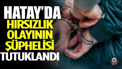 Hatay'da hırsızlık şüphelisi tutuklandı