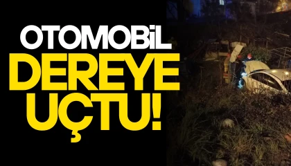 Hatayda istinat duvarına çarpan otomobil dereye uçtu