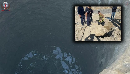 Hatay’da TOKİ şantiyesindeki çukura düşen köpek kurtarıldı