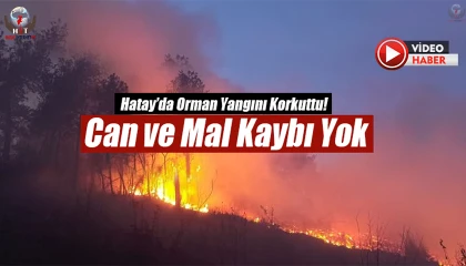 Hataydaki orman yangını ekiplerin müdahalesiyle kontrol altına alındı