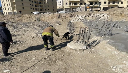 İnşaat alanındaki 15 metrelik çukura düşen köpek kurtarıldı