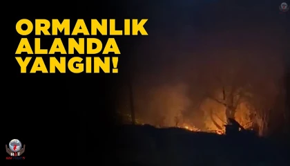 İskenderunda ormanlık alanda yangın