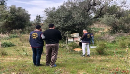 Ispartada arı kovanı hırsızları JASATtan kaçamadı