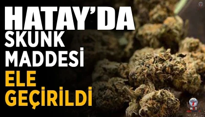 Kargo ile gelen bilgisayar kasasından skunk maddesi ele geçirildi
