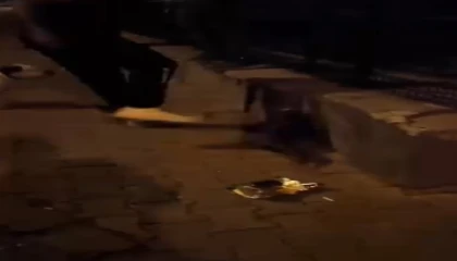 Kediye tekme atan vicdansız gözaltına alındı