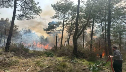 Kemerde orman yangını