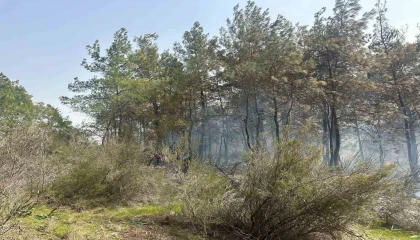Kemerdeki orman yangını kontrol altına alındı, 2 hektarlık alan zarar gördü