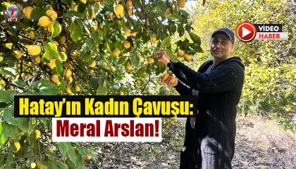 Kimilerine garip gelse de Meral çavuş, 30 yıldır tarlaların yolunu tutarak ekmek parasını kazanıyor