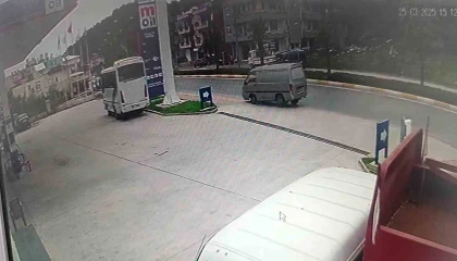 Manavgatta kamyonet palmiyeye çarptı: 1 yaralı