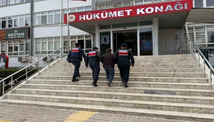 Mersinde 16 hayvanı çalan şüpheli yakalanıp tutuklandı