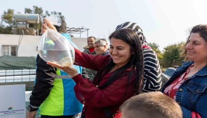 Mersinde kadınlar haşere mücadelesi için lepistes balığı yetiştirecek