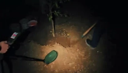 Mersinde silah kaçakçılarına yönelik operasyon: 353 tabanca ve 913 silah parçası ele geçirildi