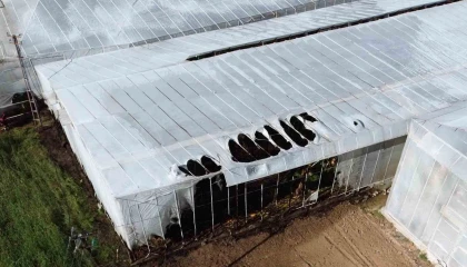 Mersinde yangın nedeniyle 2 sera zarar gördü