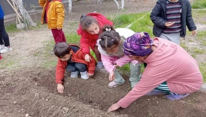 Minik eller tohumları toprakla buluşturdu