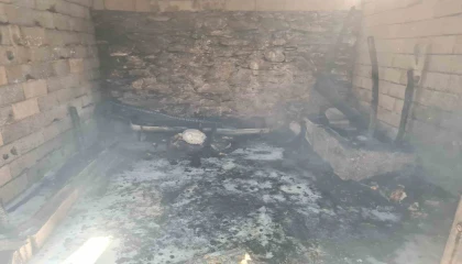 Osmaniyede ahırdaki yangında 16 küçükbaş hayvan telef oldu