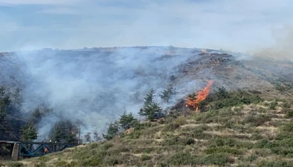 Osmaniyede çıkan orman yangını söndürüldü