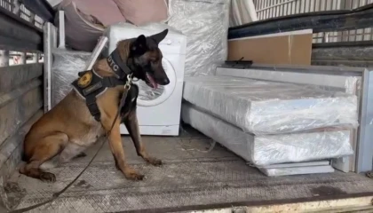 Osmaniyede nakliye kamyonuyla uyuşturucu sevkiyatına polis engeli