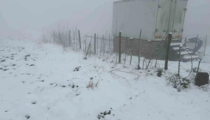 Osmaniyede önce yağmur, sonra kar çiftçiye can suyu oldu