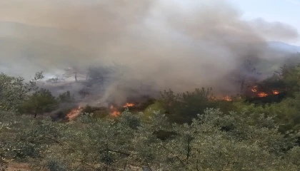 Osmaniyede ormanlık alanda korkutan yangın