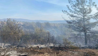 Osmaniyenin Düziçi ilçesinde çıkan orman yangını söndürüldü