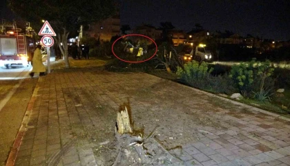 Otomobil kaldırıma çarpıp bahçeye uçtu, polis memuru sürücü ağır yaralandı