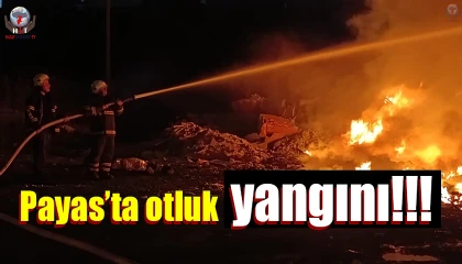 Payasta otluk alan yangını