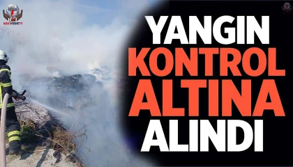 Samandağda kamışlık alanda yangın çıktı