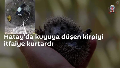 Su kuyusuna düşen oklu kirpiyi itfaiye kurtardı