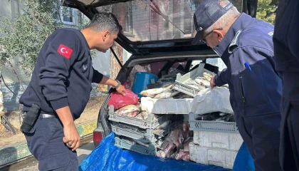 Tarsusta sağlıksız şartlarda ele geçirilen 750 kilo balık imha edildi