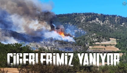 Yayladağında ormanlık alanda yangın