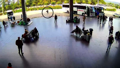 Adanadan otobüsle Antalyaya 300 civciv gönderdiler