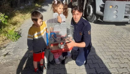 Ağaçta mahsur kalan papağanı itfaiye kurtardı