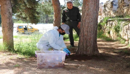 Alanya Belediyesinden biyolojik mücadele