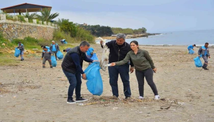 Alanyada kum zambakları ile caretta carettaların yaşam sahaları temizlendi