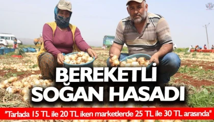Amik Ovasında bereketli soğan hasadı